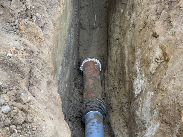 Best Flood restoration services  in Rossville, KS