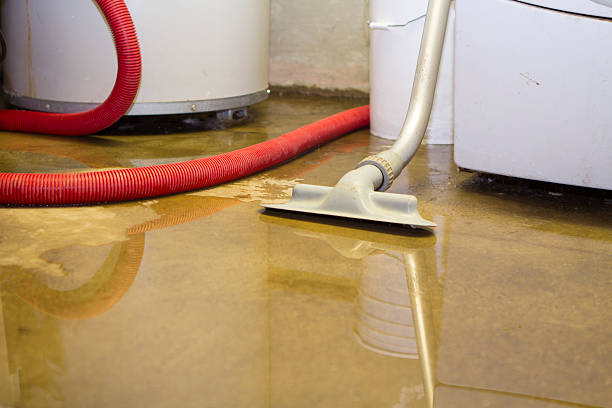 Best Water damage restoration near me  in Rossville, KS