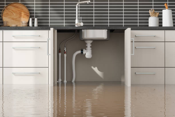 Best Water damage restoration cost  in Rossville, KS